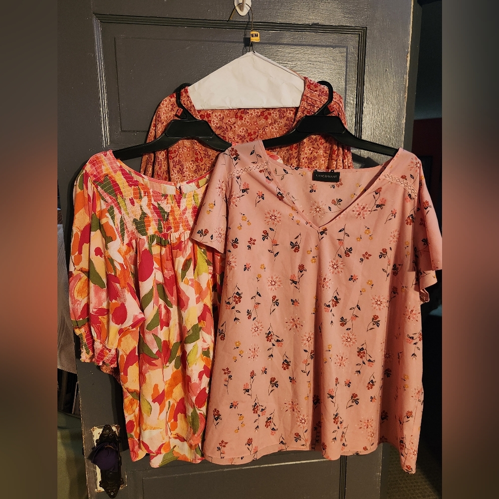 Lot Of 4 Floral Pink Blouses Tops 2X 3X